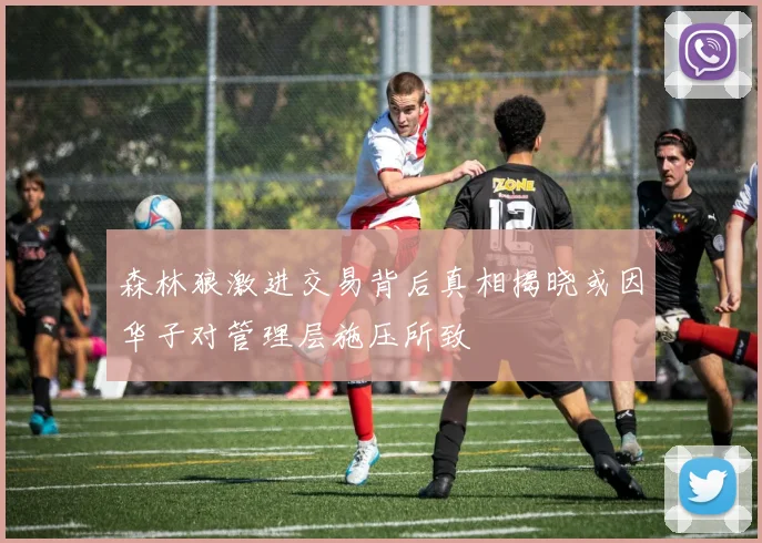 森林狼激进交易背后真相揭晓或因华子对管理层施压所致