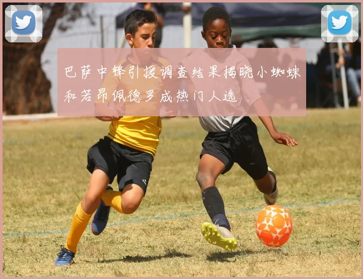 巴萨中锋引援调查结果揭晓小蜘蛛和若昂佩德罗成热门人选